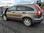 2009 Honda Cr-v Ex Gray vin: 5J6RE48529L056950