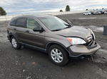 2009 Honda Cr-v Ex Gray vin: 5J6RE48529L056950