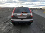 2009 Honda Cr-v Ex Gray vin: 5J6RE48529L056950