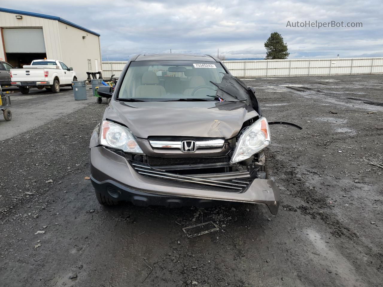 2009 Honda Cr-v Ex Gray vin: 5J6RE48529L056950