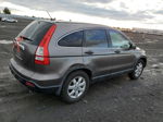 2009 Honda Cr-v Ex Gray vin: 5J6RE48529L056950