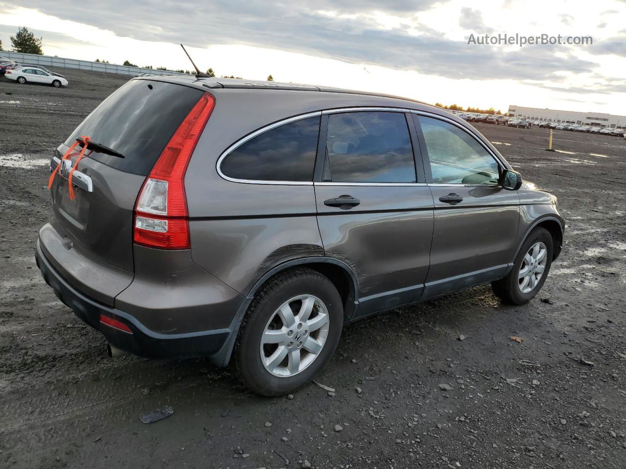 2009 Honda Cr-v Ex Gray vin: 5J6RE48529L056950