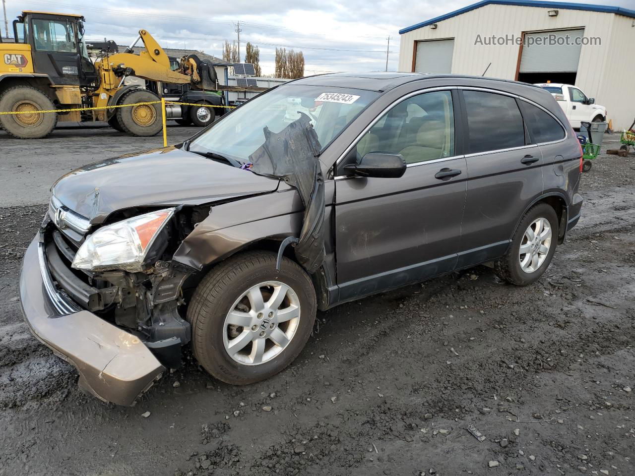 2009 Honda Cr-v Ex Gray vin: 5J6RE48529L056950