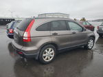 2009 Honda Cr-v Ex Brown vin: 5J6RE48539L017705