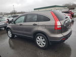 2009 Honda Cr-v Ex Brown vin: 5J6RE48539L017705