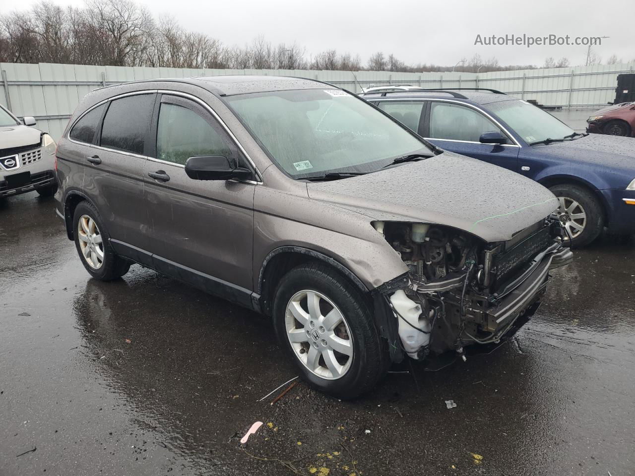 2009 Honda Cr-v Ex Brown vin: 5J6RE48539L017705