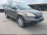 2009 Honda Cr-v Ex Коричневый vin: 5J6RE48539L022659