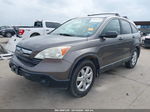 2009 Honda Cr-v Ex Brown vin: 5J6RE48539L022659