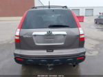 2009 Honda Cr-v Ex Brown vin: 5J6RE48539L022659