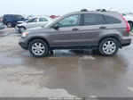 2009 Honda Cr-v Ex Коричневый vin: 5J6RE48539L022659