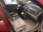 2009 Honda Cr-v Ex Бордовый vin: 5J6RE48549L031077