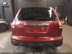 2009 Honda Cr-v Ex Бордовый vin: 5J6RE48549L031077