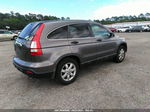 2009 Honda Cr-v Ex Gray vin: 5J6RE48549L046114