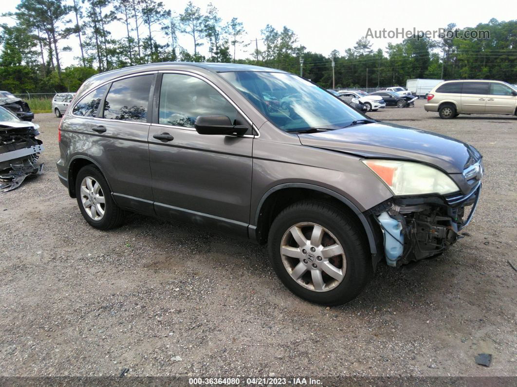 2009 Honda Cr-v Ex Gray vin: 5J6RE48549L046114