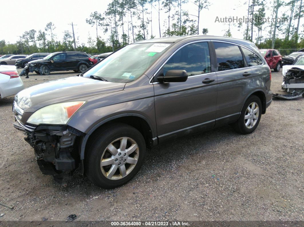 2009 Honda Cr-v Ex Gray vin: 5J6RE48549L046114