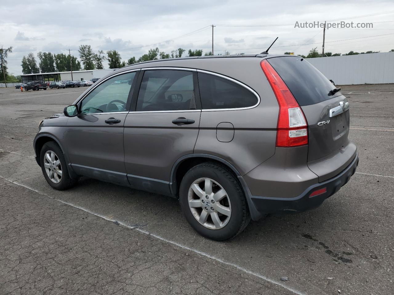 2009 Honda Cr-v Ex Gray vin: 5J6RE48579L025614