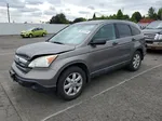 2009 Honda Cr-v Ex Gray vin: 5J6RE48579L025614