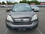 2009 Honda Cr-v Ex Gray vin: 5J6RE48579L025614