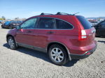 2009 Honda Cr-v Ex Burgundy vin: 5J6RE48589L003489