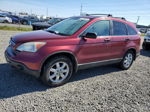 2009 Honda Cr-v Ex Burgundy vin: 5J6RE48589L003489