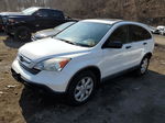 2009 Honda Cr-v Ex White vin: 5J6RE48589L047492