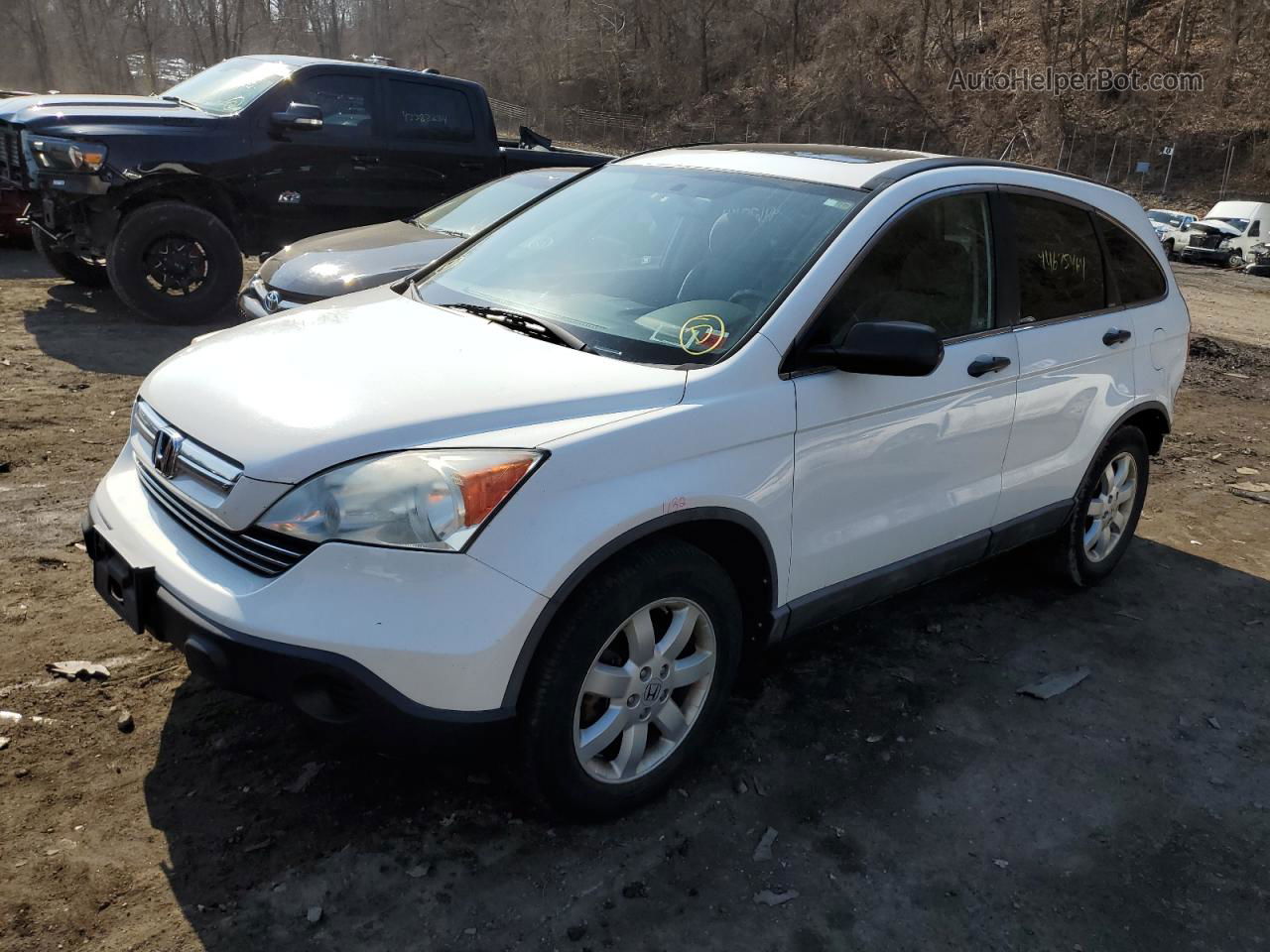 2009 Honda Cr-v Ex White vin: 5J6RE48589L047492