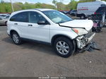 2009 Honda Cr-v Ex White vin: 5J6RE48589L068696