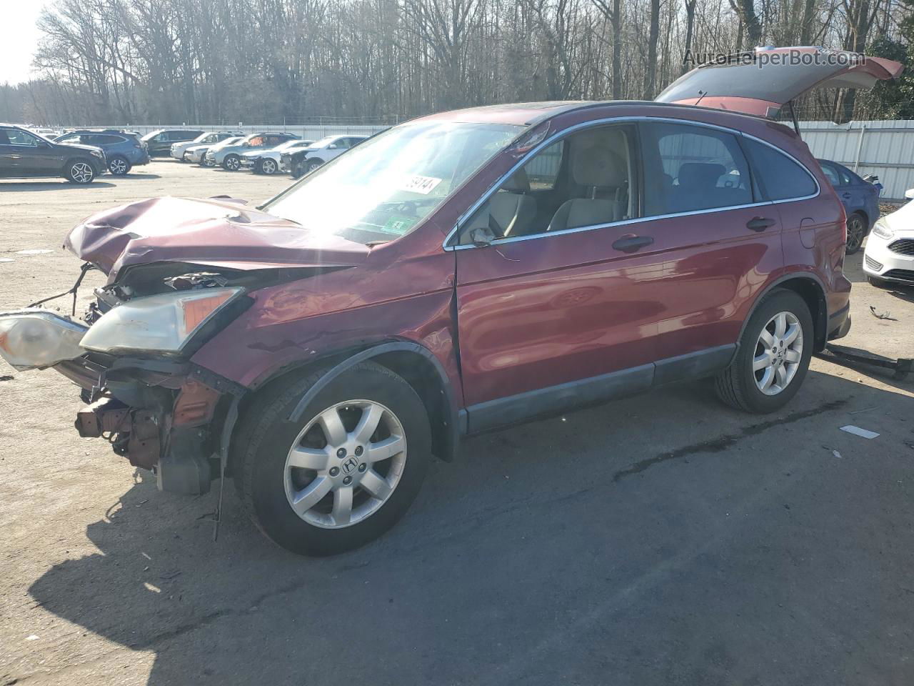 2009 Honda Cr-v Ex Red vin: 5J6RE48599L066908