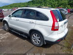 2009 Honda Cr-v Ex-l White vin: 5J6RE48709L000135