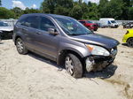 2009 Honda Cr-v Exl Gray vin: 5J6RE48709L015184