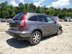 2009 Honda Cr-v Exl Gray vin: 5J6RE48709L015184