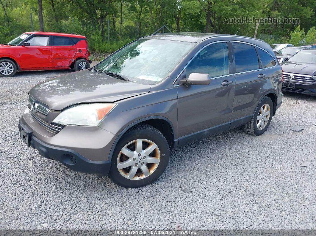 2009 Honda Cr-v Ex-l Gray vin: 5J6RE48709L026685