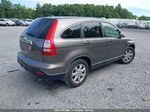 2009 Honda Cr-v Ex-l Gray vin: 5J6RE48709L026685