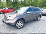 2009 Honda Cr-v Ex-l Gray vin: 5J6RE48709L026685