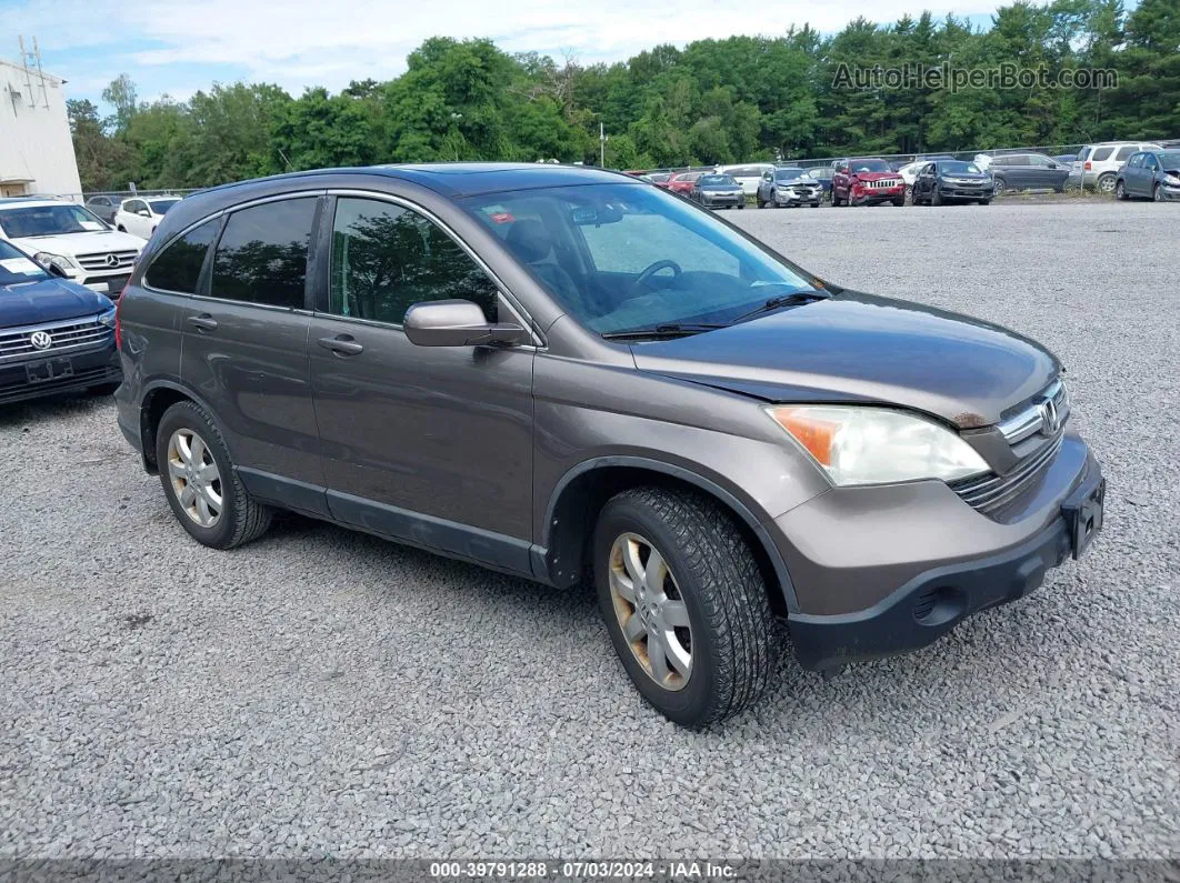 2009 Honda Cr-v Ex-l Gray vin: 5J6RE48709L026685