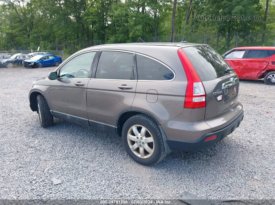 2009 Honda Cr-v Ex-l Gray vin: 5J6RE48709L026685