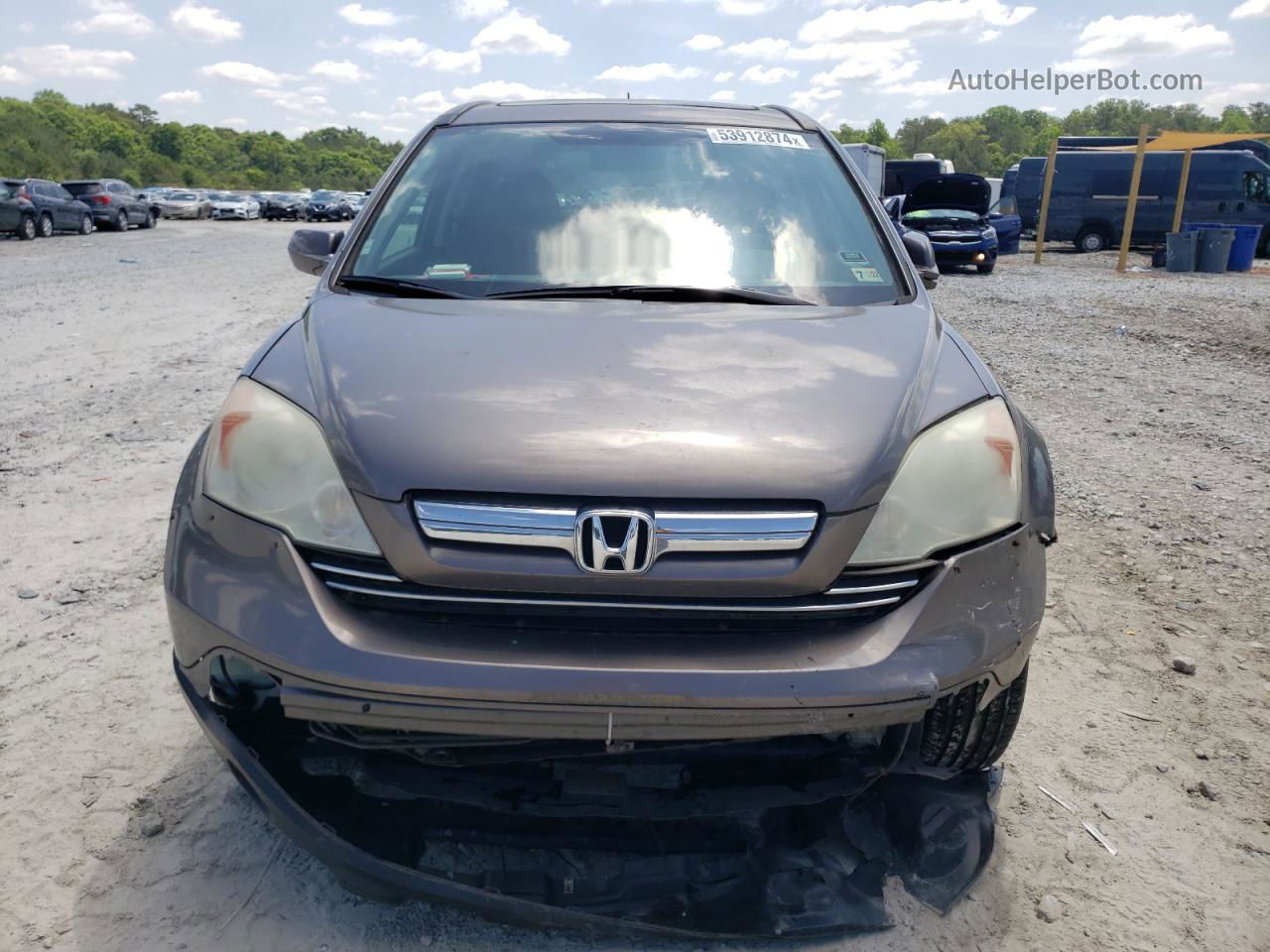 2009 Honda Cr-v Exl Gray vin: 5J6RE48709L045401