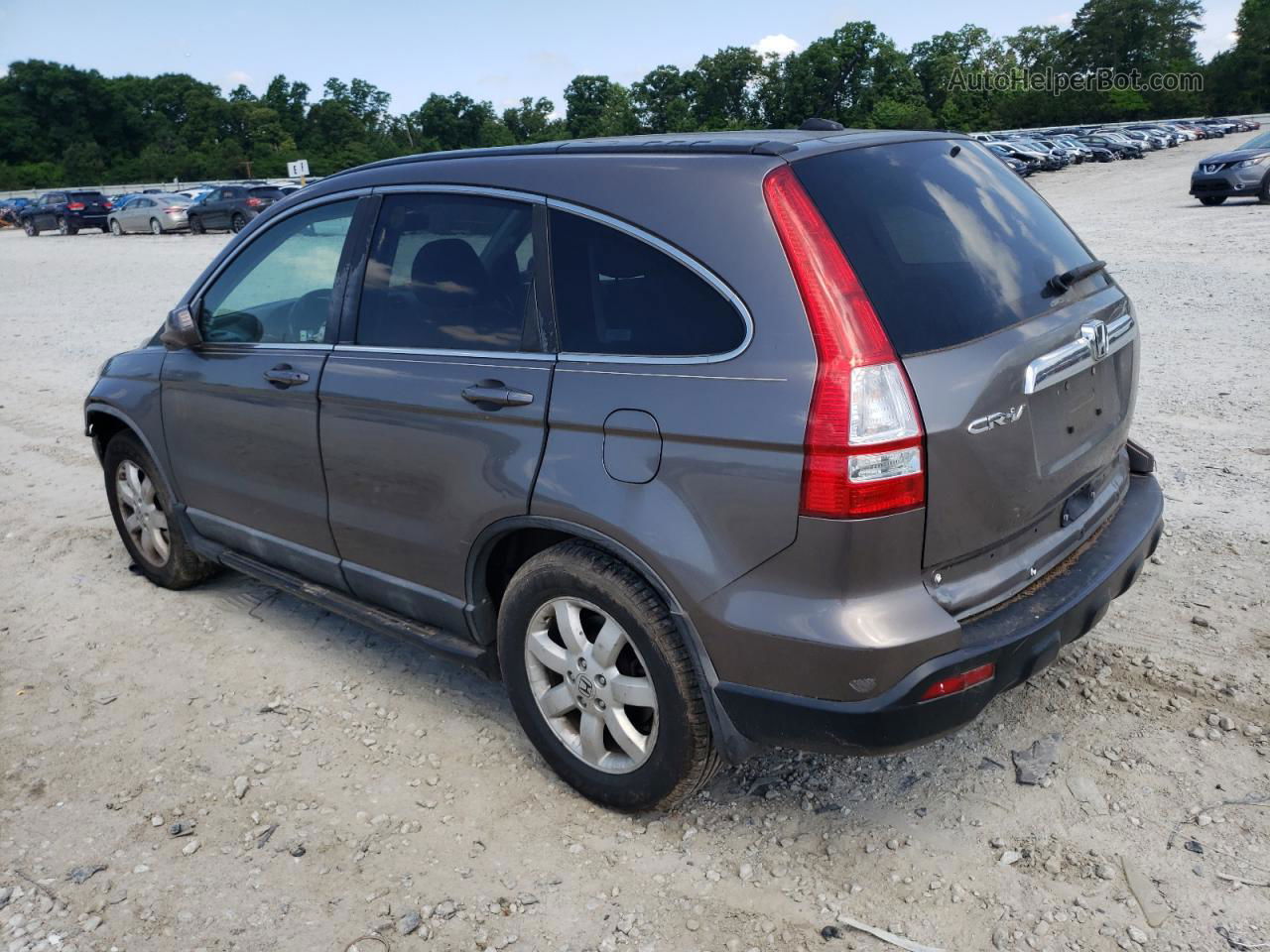 2009 Honda Cr-v Exl Gray vin: 5J6RE48709L045401