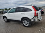 2009 Honda Cr-v Exl White vin: 5J6RE48719L018191