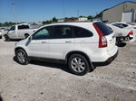 2009 Honda Cr-v Exl Белый vin: 5J6RE48719L028137