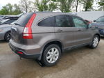 2009 Honda Cr-v Exl Gray vin: 5J6RE48719L045553