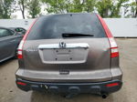 2009 Honda Cr-v Exl Gray vin: 5J6RE48719L045553