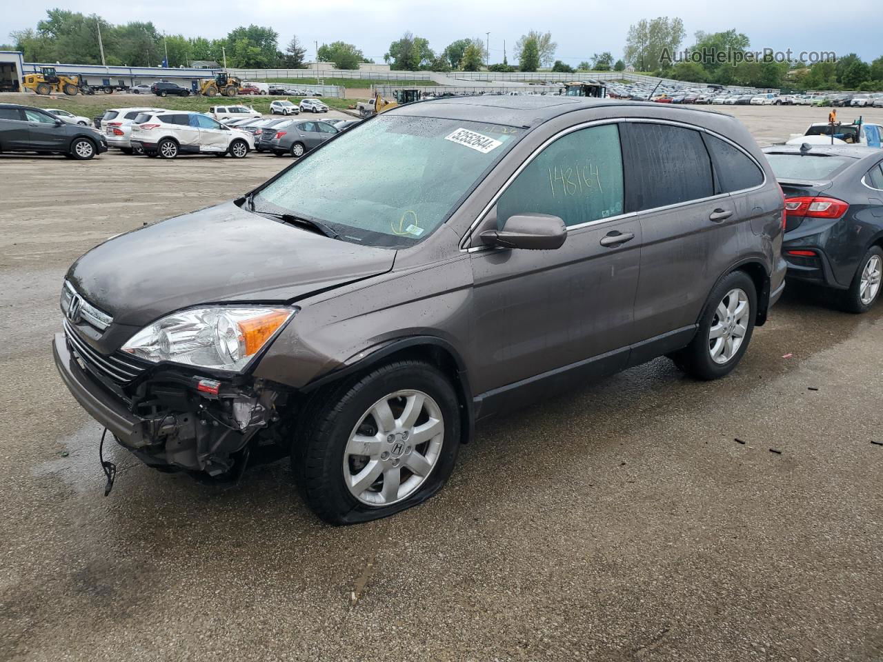 2009 Honda Cr-v Exl Gray vin: 5J6RE48719L045553