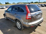 2009 Honda Cr-v Exl Gray vin: 5J6RE48739L013963