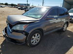 2009 Honda Cr-v Exl Gray vin: 5J6RE48739L013963