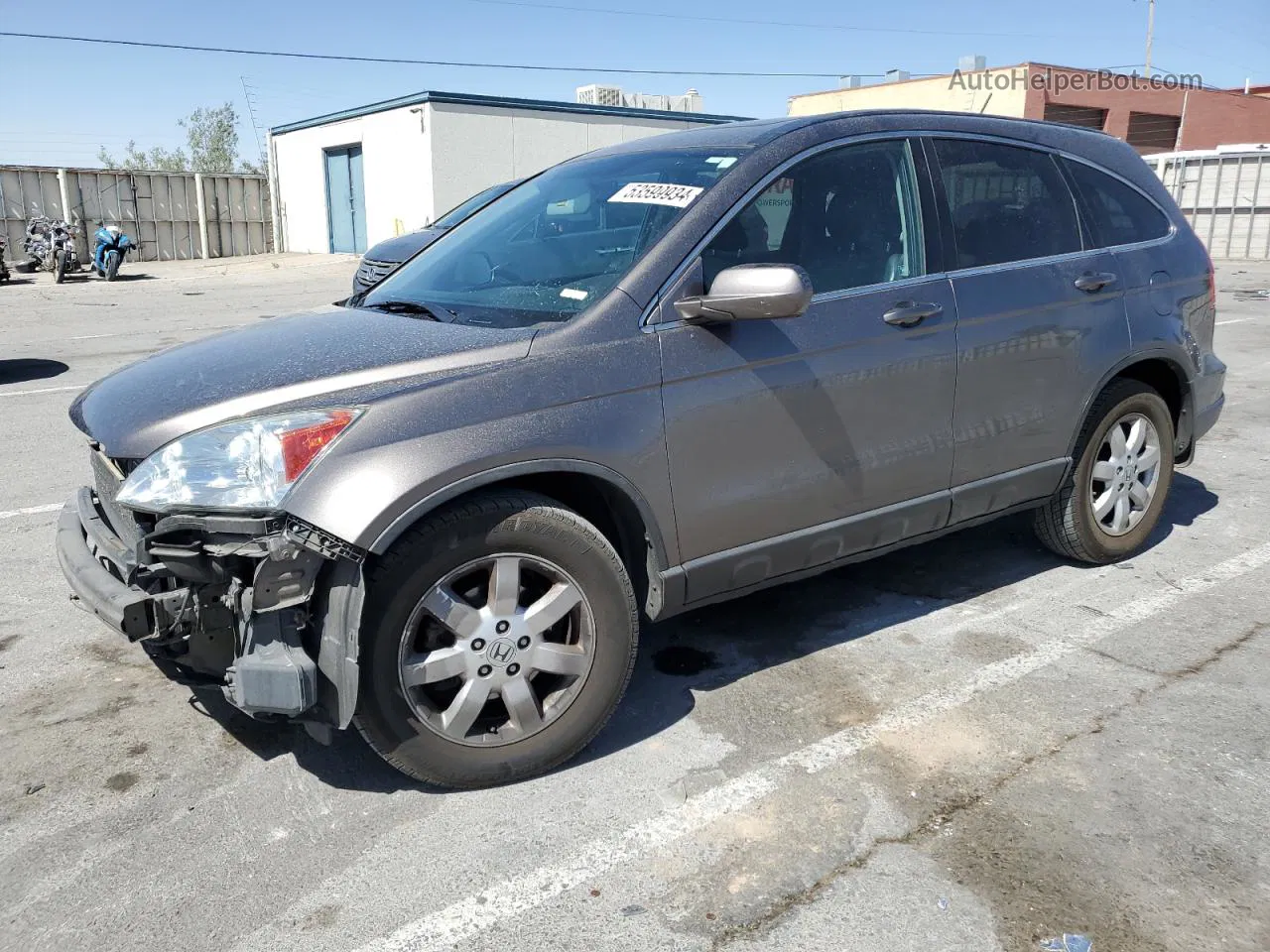 2009 Honda Cr-v Exl Gray vin: 5J6RE48739L057882