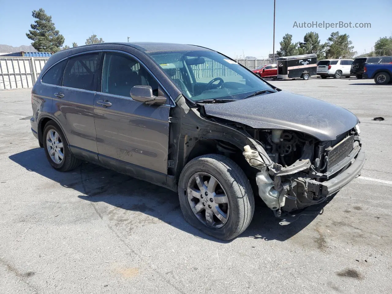 2009 Honda Cr-v Exl Gray vin: 5J6RE48739L057882