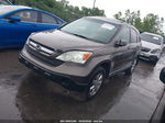 2009 Honda Cr-v Ex-l Gray vin: 5J6RE48749L010599