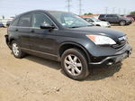 2009 Honda Cr-v Exl Black vin: 5J6RE48749L044526