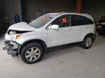 2009 Honda Cr-v Exl Белый vin: 5J6RE48759L000146